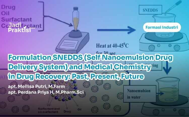 Formulation SNEEDs and Medicinal Chemistry In Drug Discovery: Past, Present and Future
